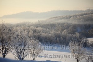 －３０．３℃の世界